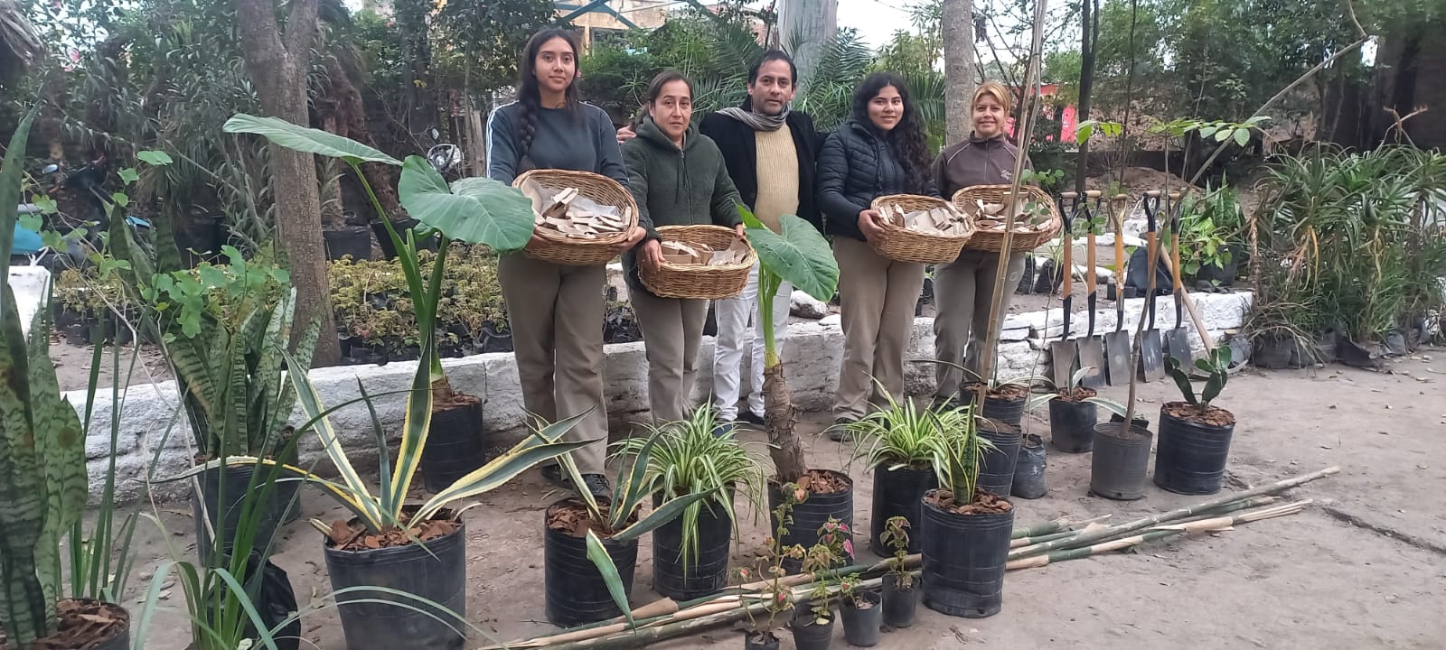 Plantar un árbol también es sembrar salud
