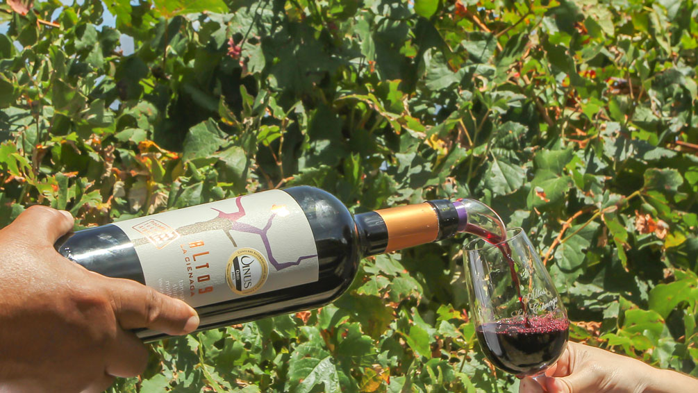 La Ruta del Vino de Altura de Tucumán hace su escala a nivel nacional