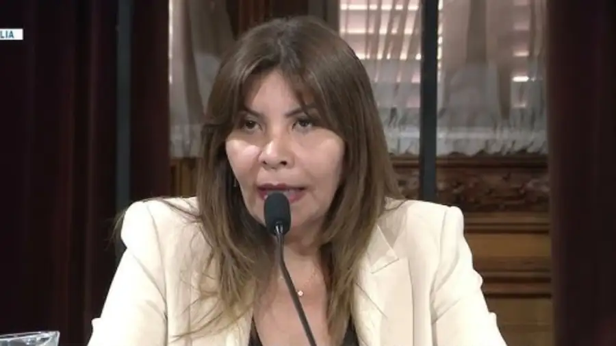 «No creo que Milei llegue al 26 de octubre». Sandra Mendoza, senadora nacional.