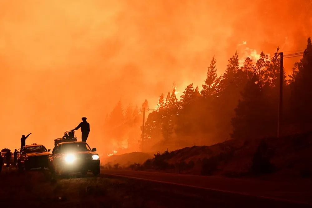 Incendios, delitos ambientales e impunidad: el caso de Chubut